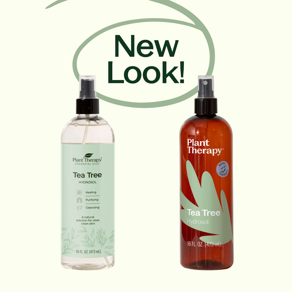 Tea Tree Hydrosol from Plant Therapy