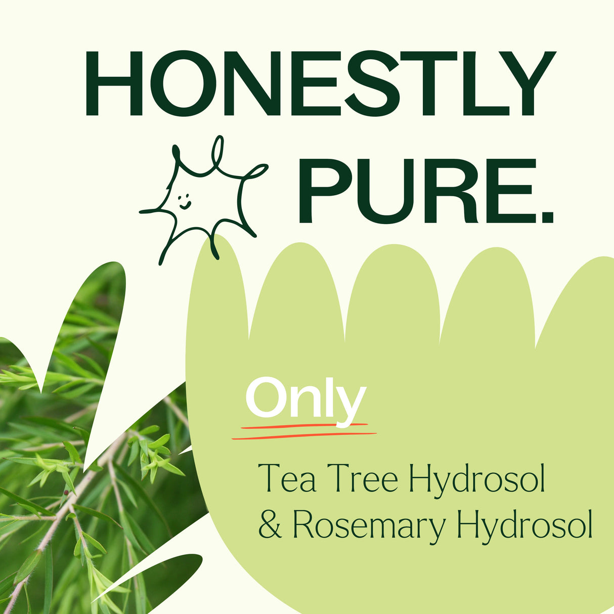 Tea Tree & Rosemary Facial Mist from Plant Therapy