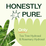 Tea Tree & Rosemary Facial Mist from Plant Therapy