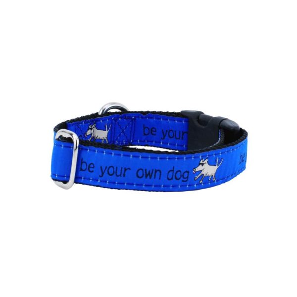 Be Your Own Dog Teddy The Dog – Blue Essential Buckle Martingale Dog Collar From 2 Hounds Design