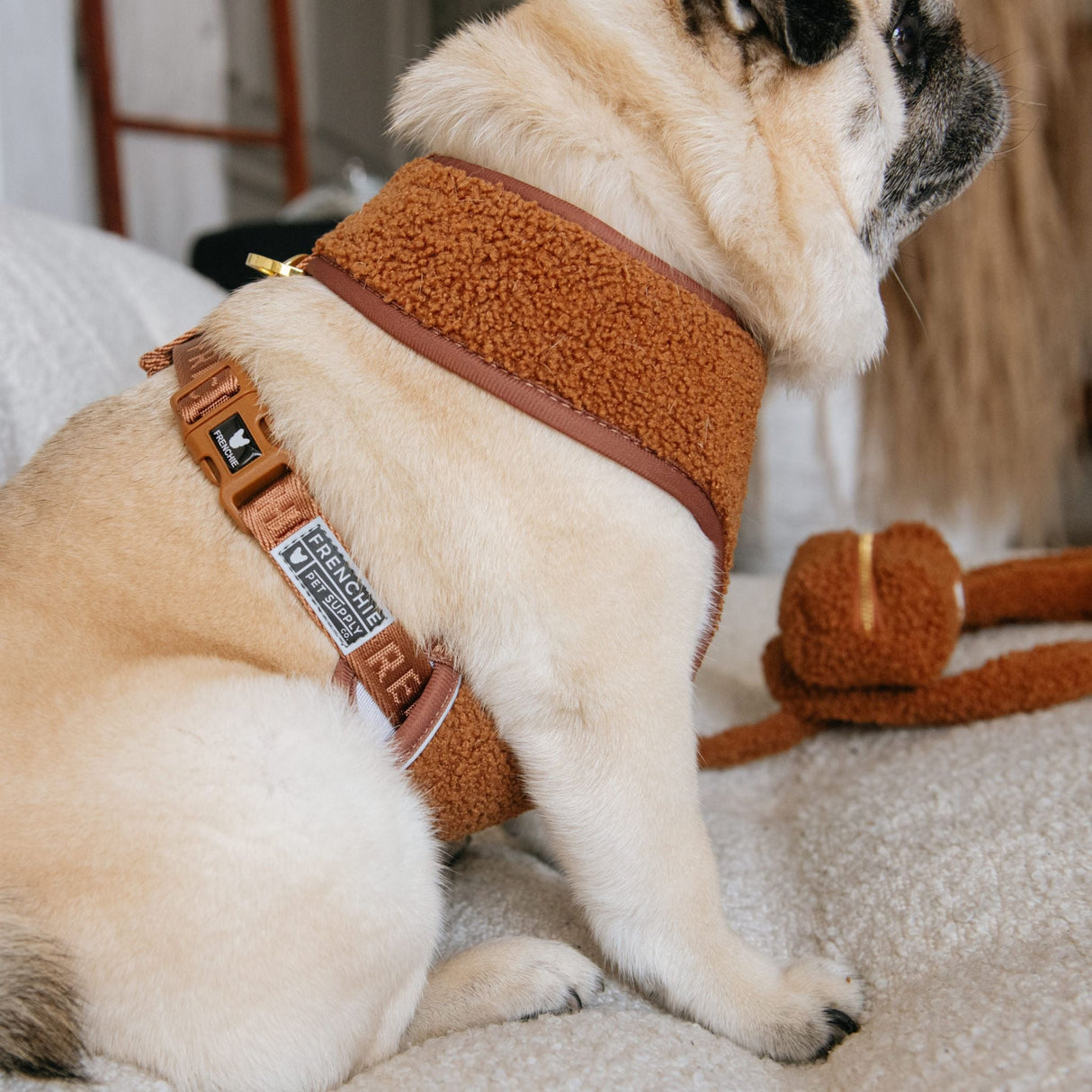 Frenchie Duo Reversible Harness - Teddy Brown from Frenchie Bulldog