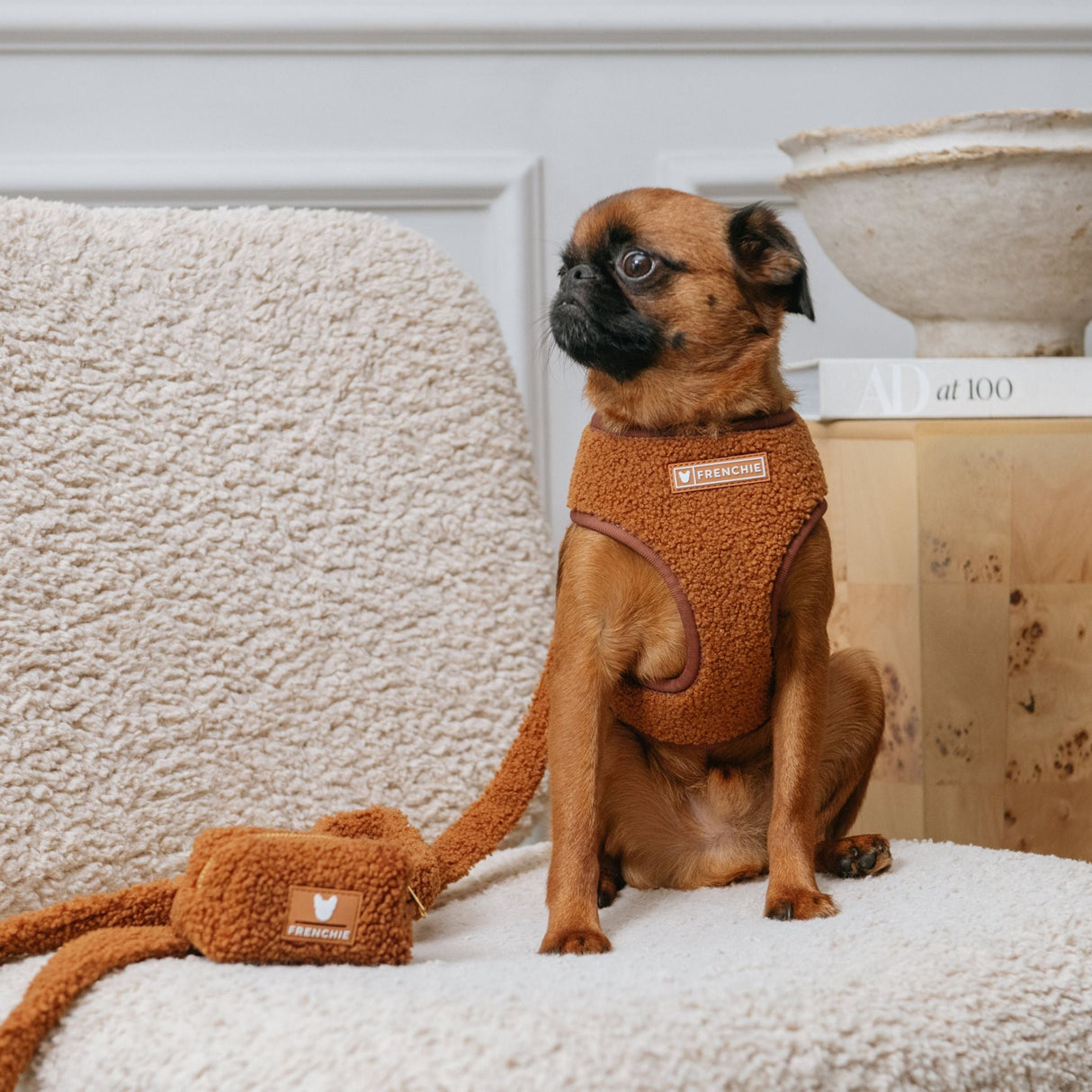 Frenchie Duo Reversible Harness - Teddy Brown from Frenchie Bulldog