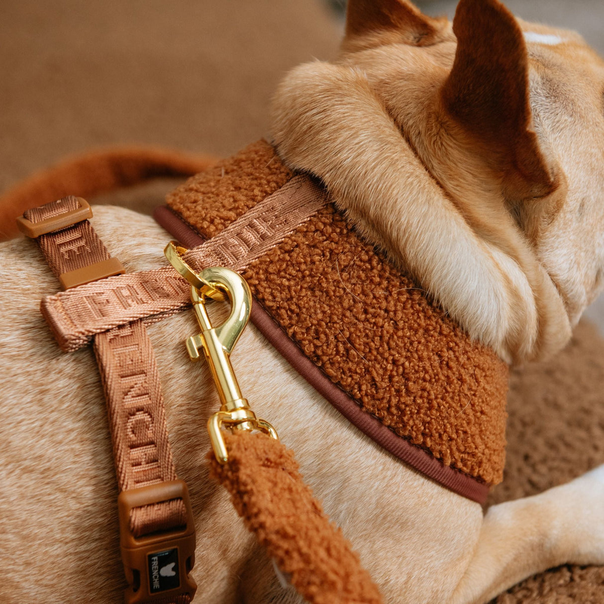 Frenchie Duo Reversible Harness - Teddy Brown from Frenchie Bulldog