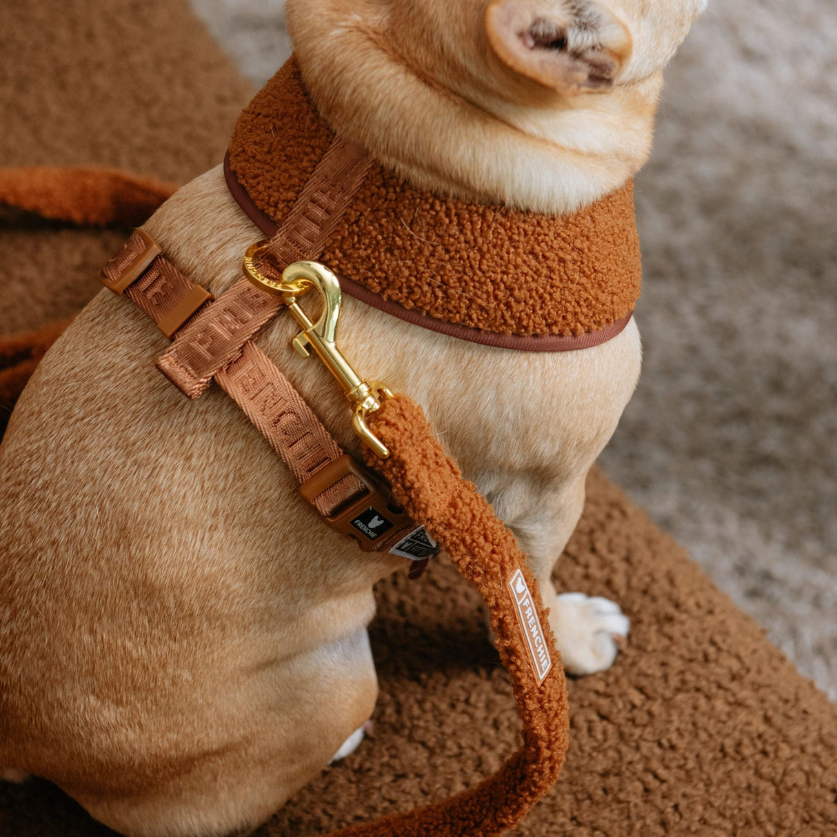 Frenchie Duo Reversible Harness - Teddy Brown from Frenchie Bulldog