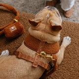 Frenchie Duo Reversible Harness - Teddy Brown from Frenchie Bulldog