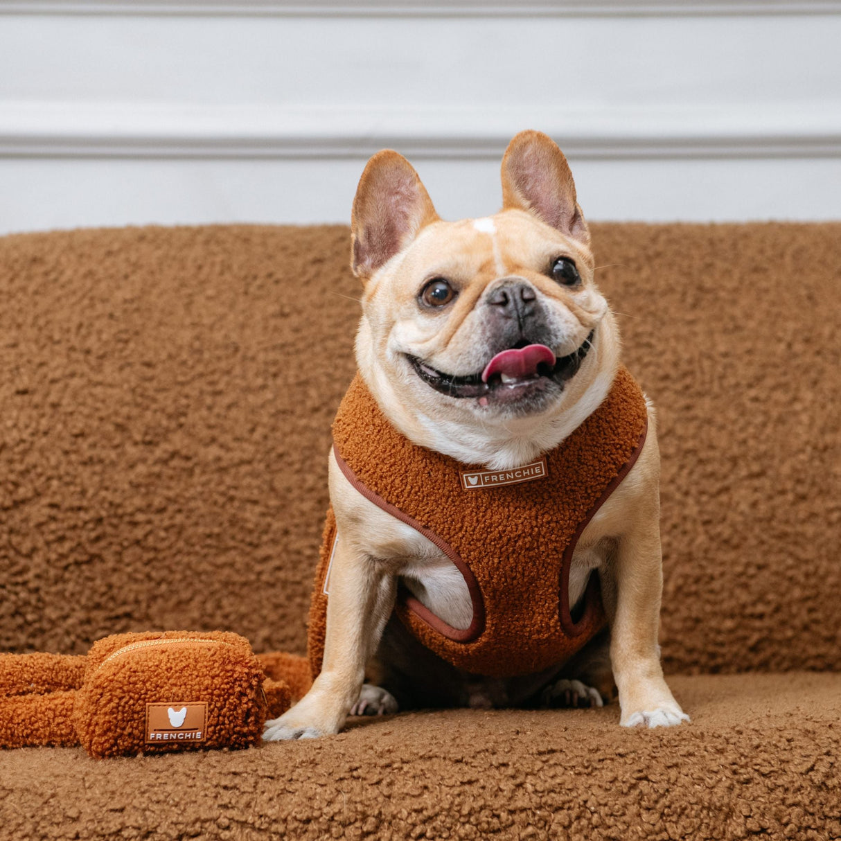 Frenchie Duo Reversible Harness - Teddy Brown from Frenchie Bulldog