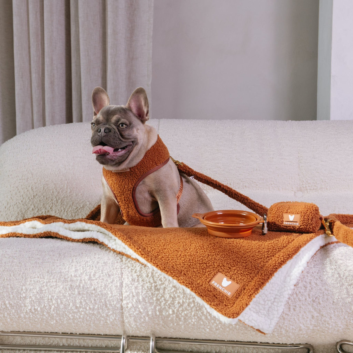 Frenchie Duo Reversible Harness - Teddy Brown from Frenchie Bulldog