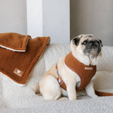 Frenchie Duo Reversible Harness - Teddy Brown from Frenchie Bulldog