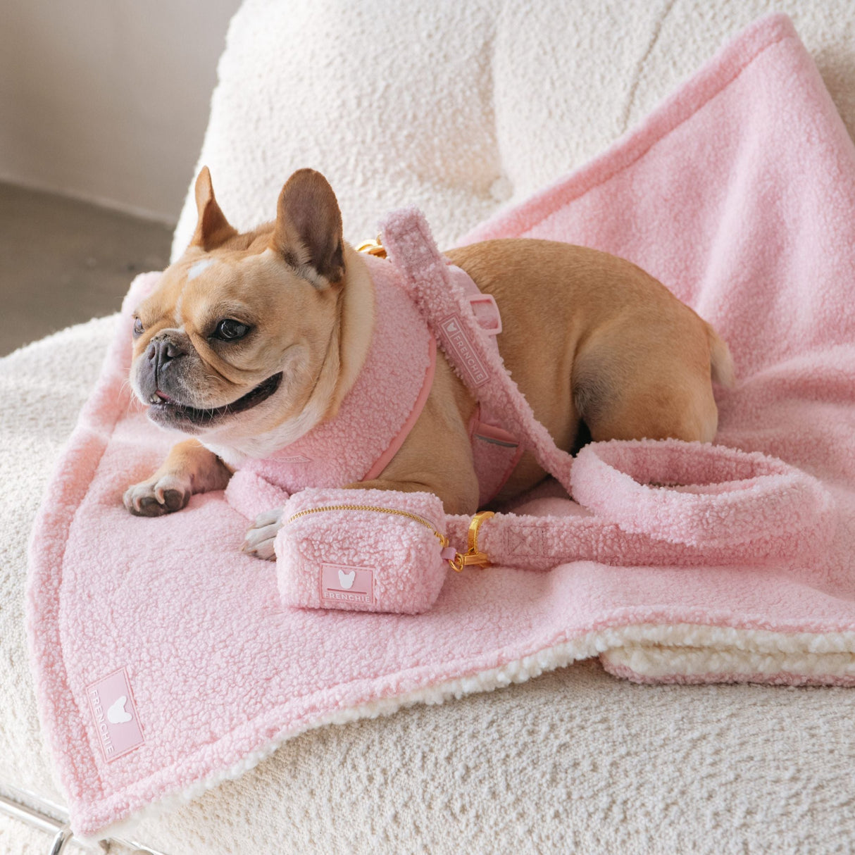 Frenchie Comfort Leash - Teddy Pink from Frenchie Bulldog