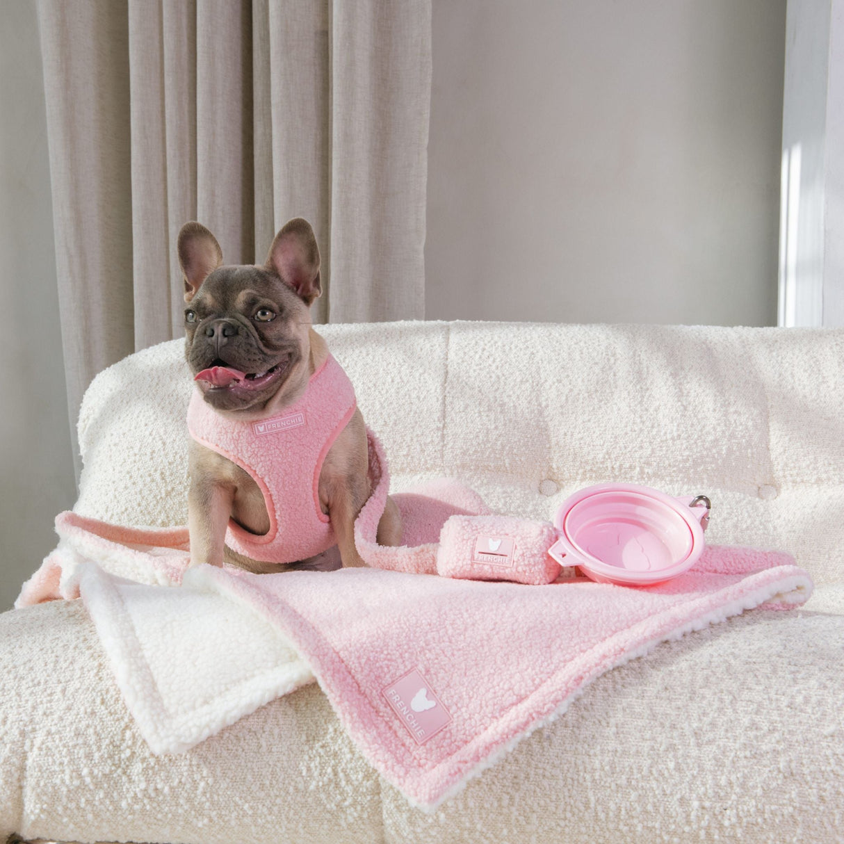 Frenchie Duo Reversible Harness - Teddy Pink from Frenchie Bulldog