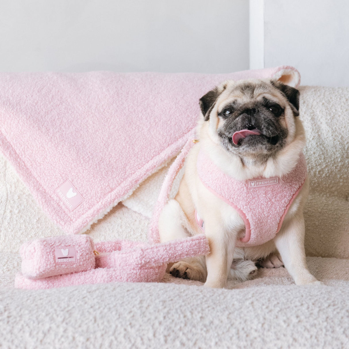 Frenchie Duo Reversible Harness - Teddy Pink from Frenchie Bulldog