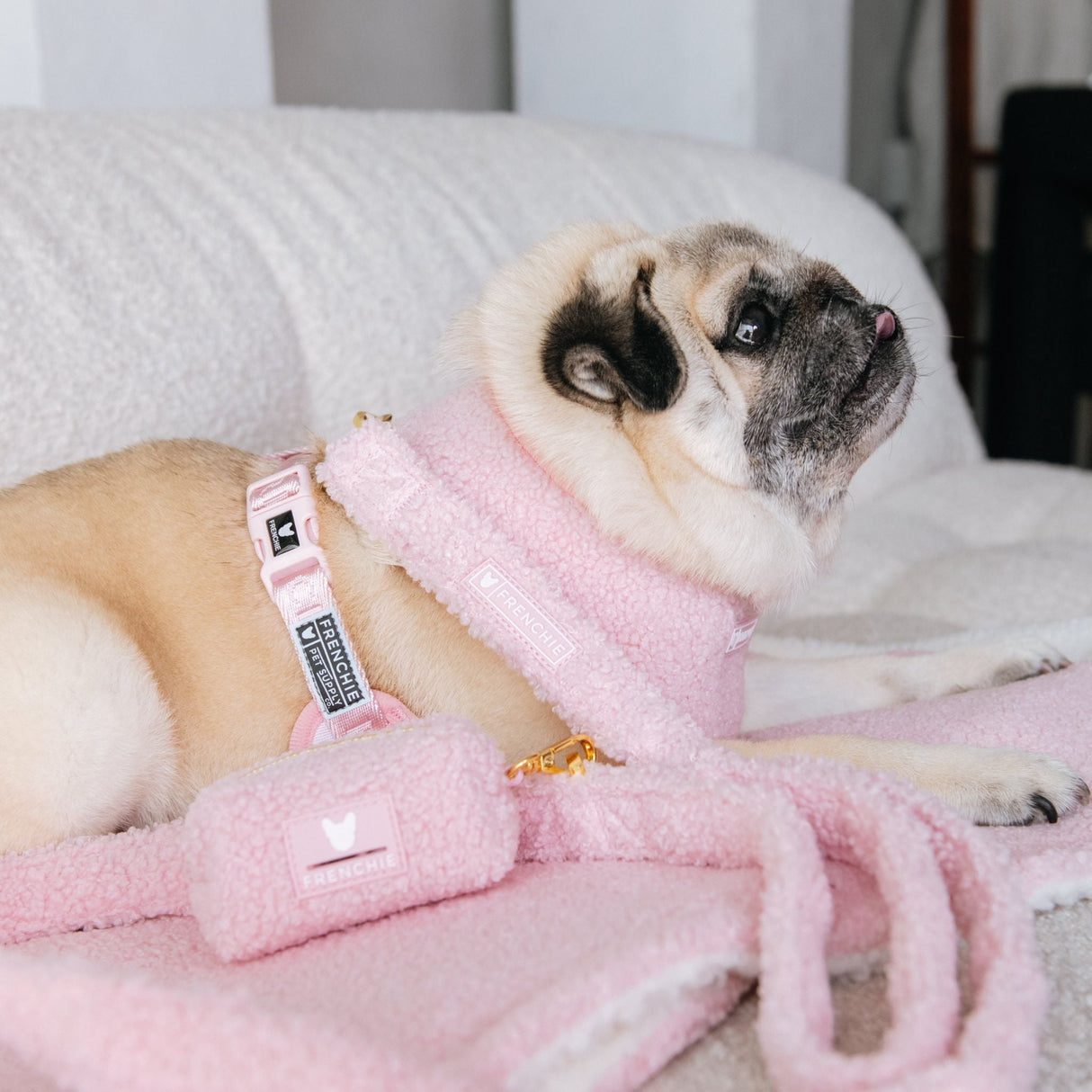 Frenchie Duo Reversible Harness - Teddy Pink from Frenchie Bulldog