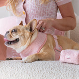Frenchie Duo Reversible Harness - Teddy Pink from Frenchie Bulldog