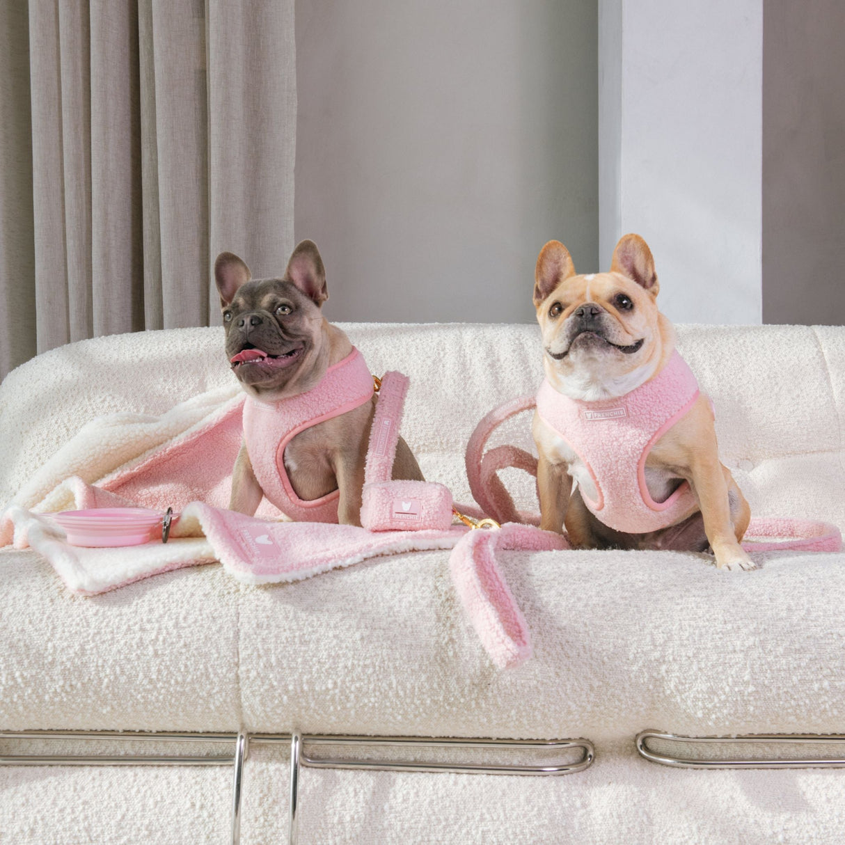 Frenchie Duo Reversible Harness - Teddy Pink from Frenchie Bulldog