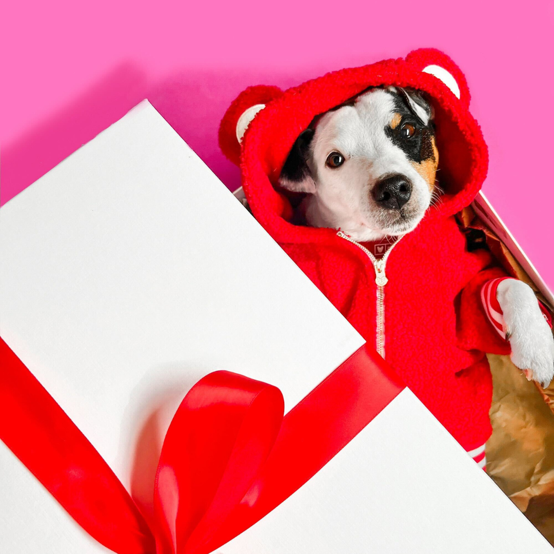 Frenchie Dog Hoodie - Teddy Red from Frenchie Bulldog