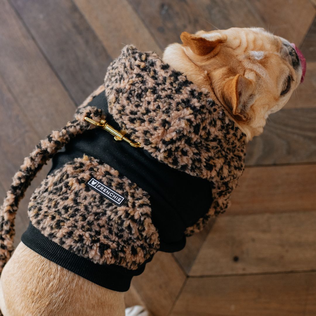 Frenchie Dog Hoodie - Teddy Leopard from Frenchie Bulldog