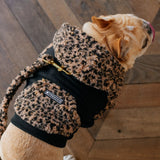 Frenchie Dog Hoodie - Teddy Leopard from Frenchie Bulldog