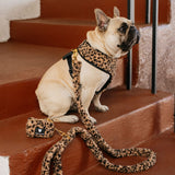 Frenchie Comfort Leash - Teddy Leopard from Frenchie Bulldog