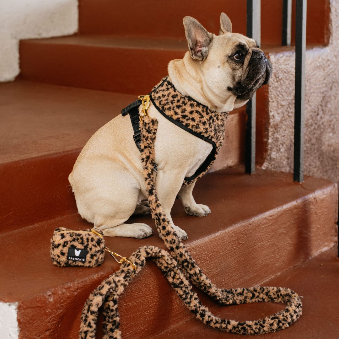 Frenchie Duo Reversible Harness - Teddy Leopard from Frenchie Bulldog