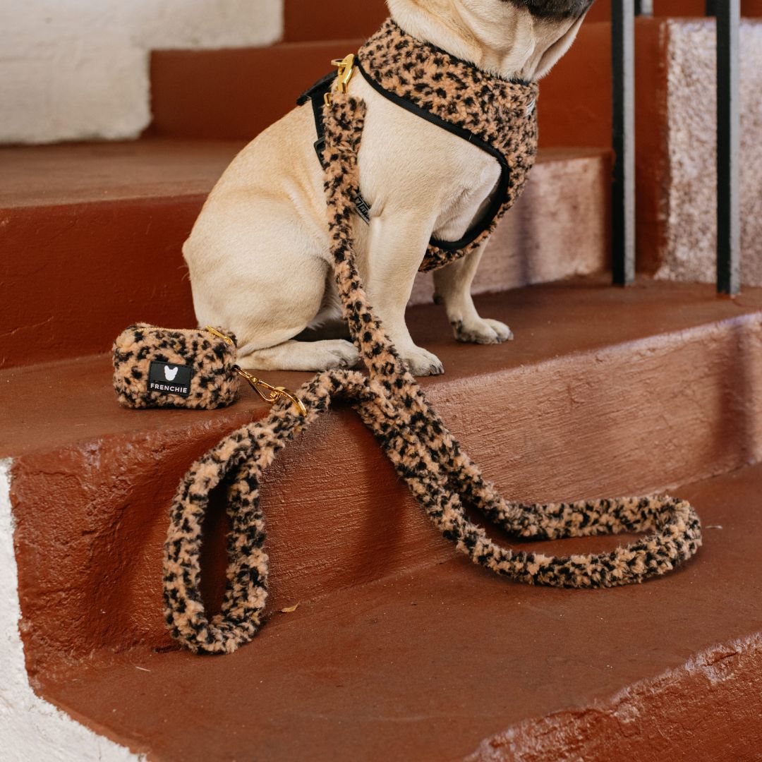 Frenchie Comfort Leash - Teddy Leopard from Frenchie Bulldog