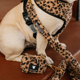 Frenchie Comfort Leash - Teddy Leopard from Frenchie Bulldog