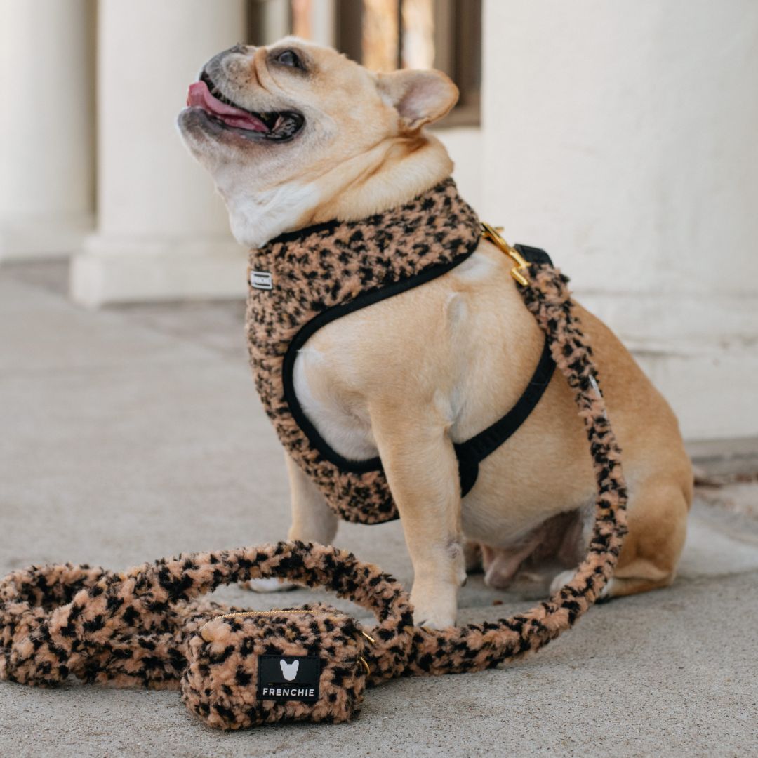 Frenchie Duo Reversible Harness - Teddy Leopard from Frenchie Bulldog
