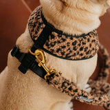 Frenchie Duo Reversible Harness - Teddy Leopard from Frenchie Bulldog