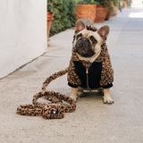 Frenchie Dog Hoodie - Teddy Leopard from Frenchie Bulldog