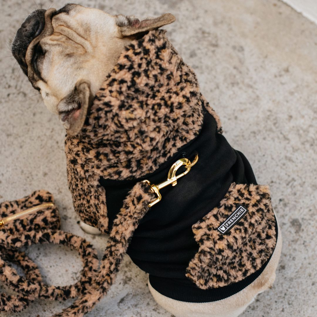 Frenchie Dog Hoodie - Teddy Leopard from Frenchie Bulldog