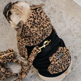 Frenchie Dog Hoodie - Teddy Leopard from Frenchie Bulldog