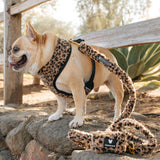 Frenchie Duo Reversible Harness - Teddy Leopard from Frenchie Bulldog
