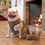 Frenchie Duo Reversible Harness - Teddy Leopard from Frenchie Bulldog