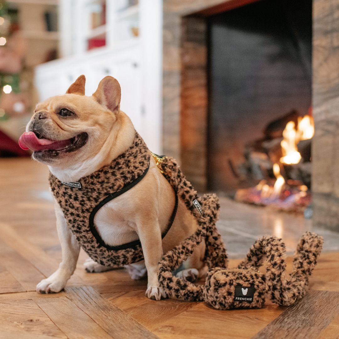 Frenchie Duo Reversible Harness - Teddy Leopard from Frenchie Bulldog