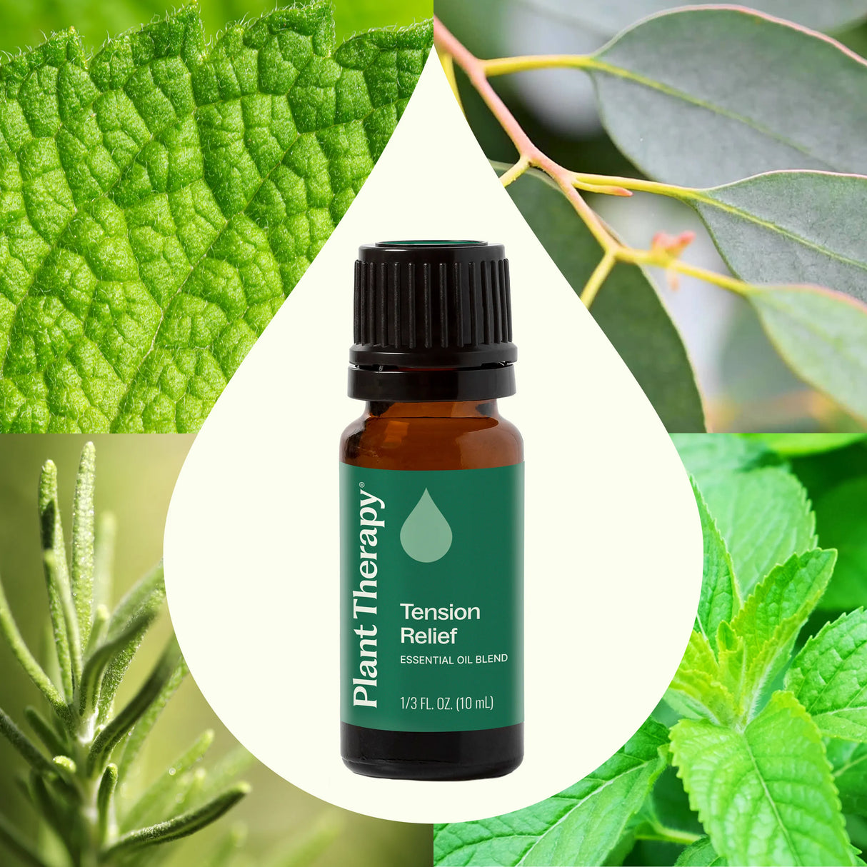 Tension Relief Essential Oil Blend from Plant Therapy