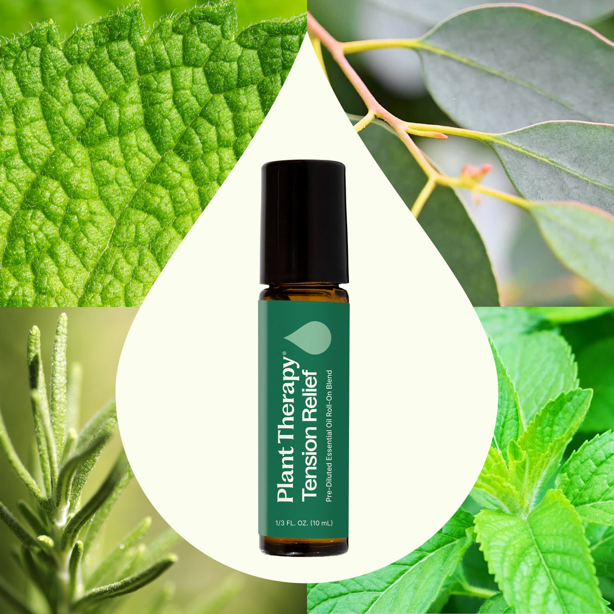 Tension Relief Essential Oil Blend Pre-Diluted Roll-On from Plant Therapy