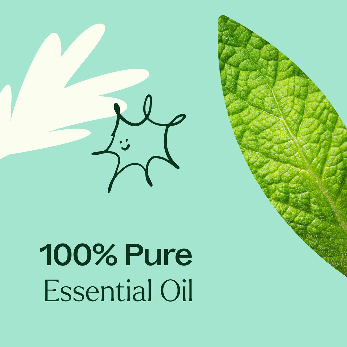 Tension Relief Essential Oil Blend from Plant Therapy