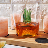 Tequila Decanter With Four Pink Himalayan Salt Shot Glasses Set, Perfect for Tequila Agave Liquor Lovers, 34 OZ Bottle, 1.6 OZ Shot Glass, Tequila, Liquor Party Decorations Cinco De Mayo (Agave) from The Wine Savant