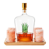 Tequila Decanter With Four Pink Himalayan Salt Shot Glasses Set, Perfect for Tequila Agave Liquor Lovers, 34 OZ Bottle, 1.6 OZ Shot Glass, Tequila, Liquor Party Decorations Cinco De Mayo (Agave) from The Wine Savant