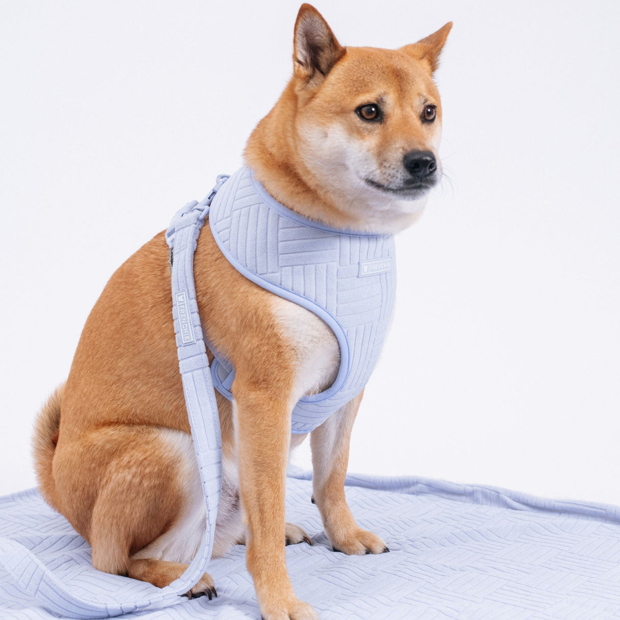 Frenchie Duo Reversible Harness - Terry- Blue from Frenchie Bulldog