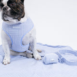 Frenchie Duo Reversible Harness - Terry- Blue from Frenchie Bulldog