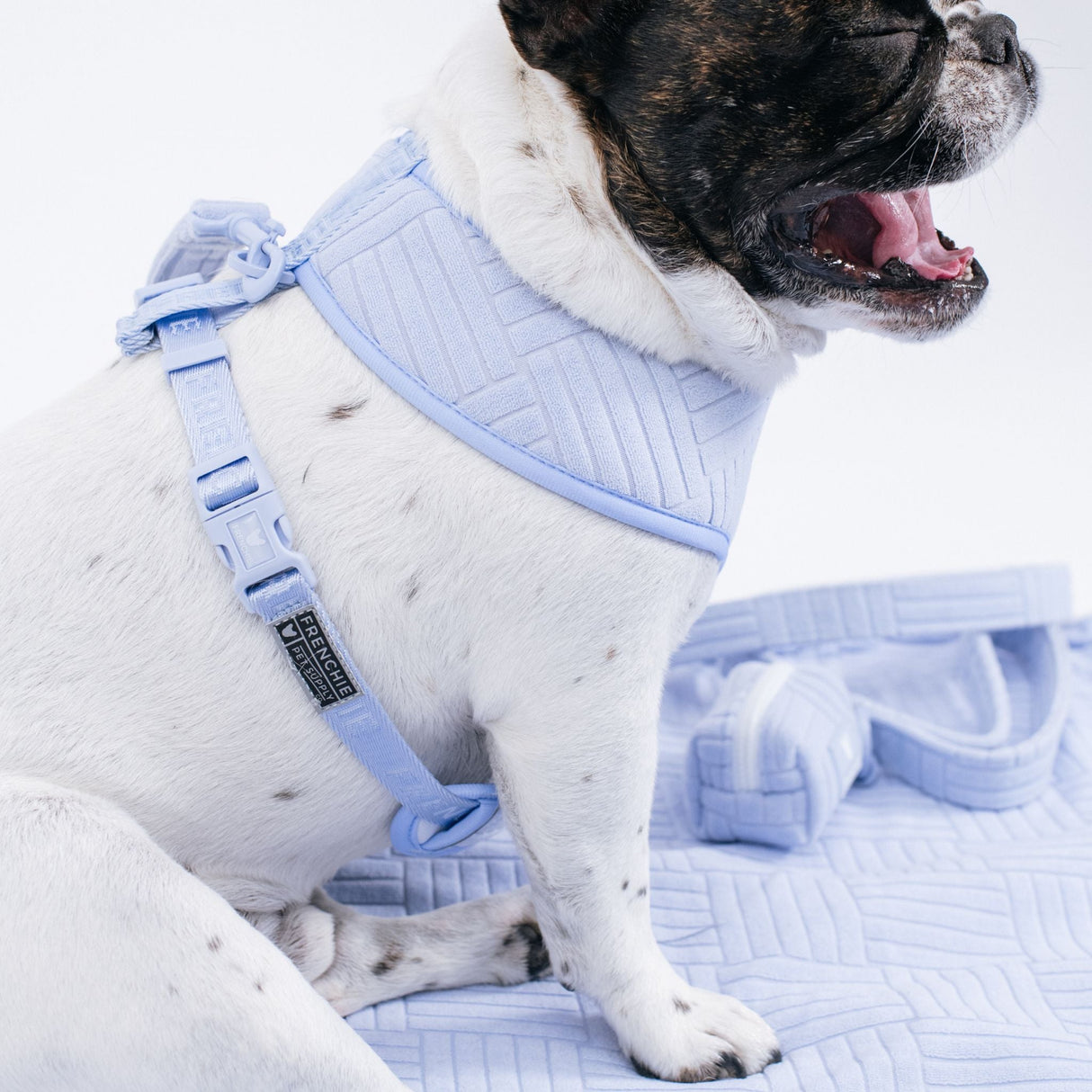 Frenchie Duo Reversible Harness - Terry- Blue from Frenchie Bulldog