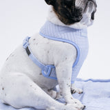 Frenchie Duo Reversible Harness - Terry- Blue from Frenchie Bulldog