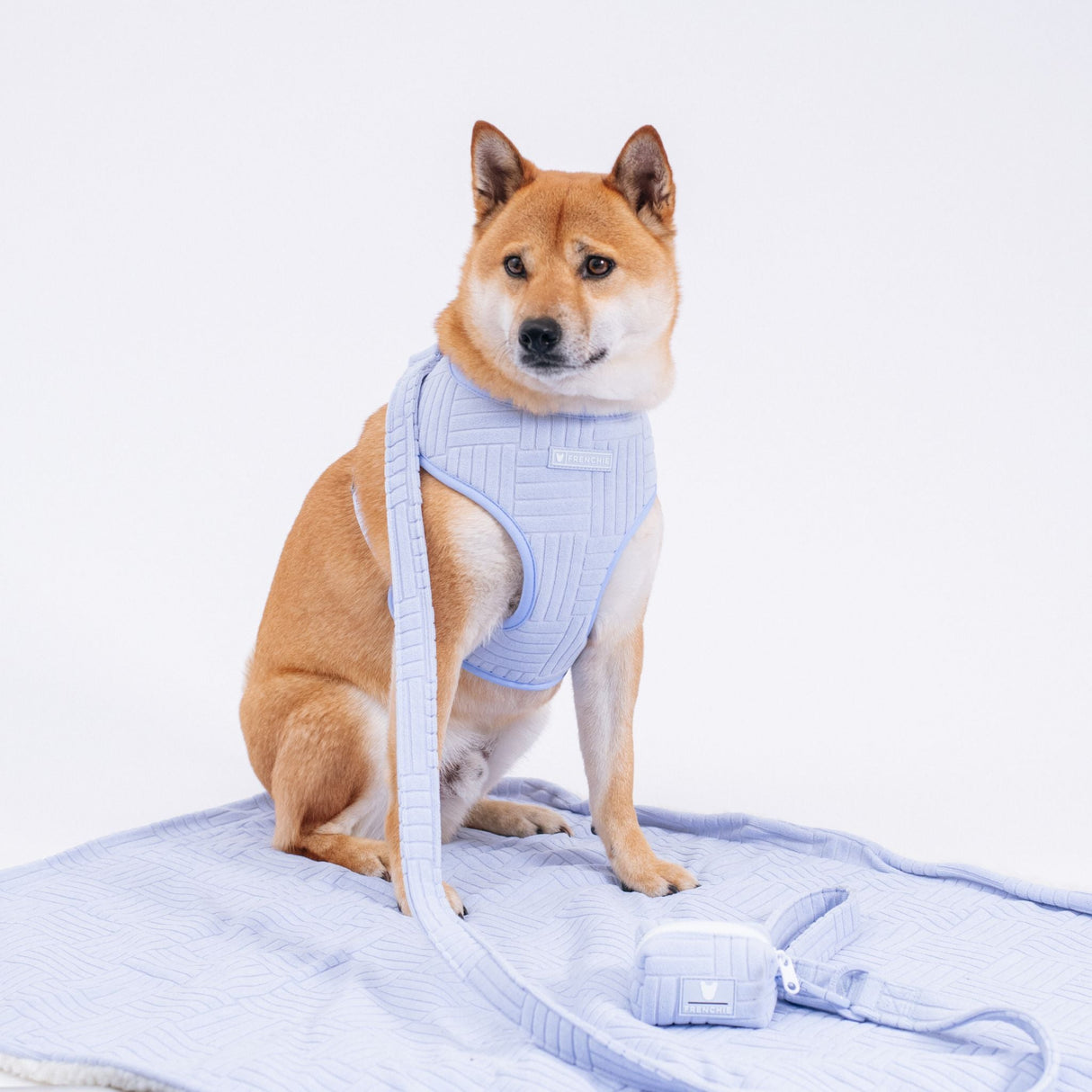 Frenchie Comfort Leash - Terry- Blue from Frenchie Bulldog