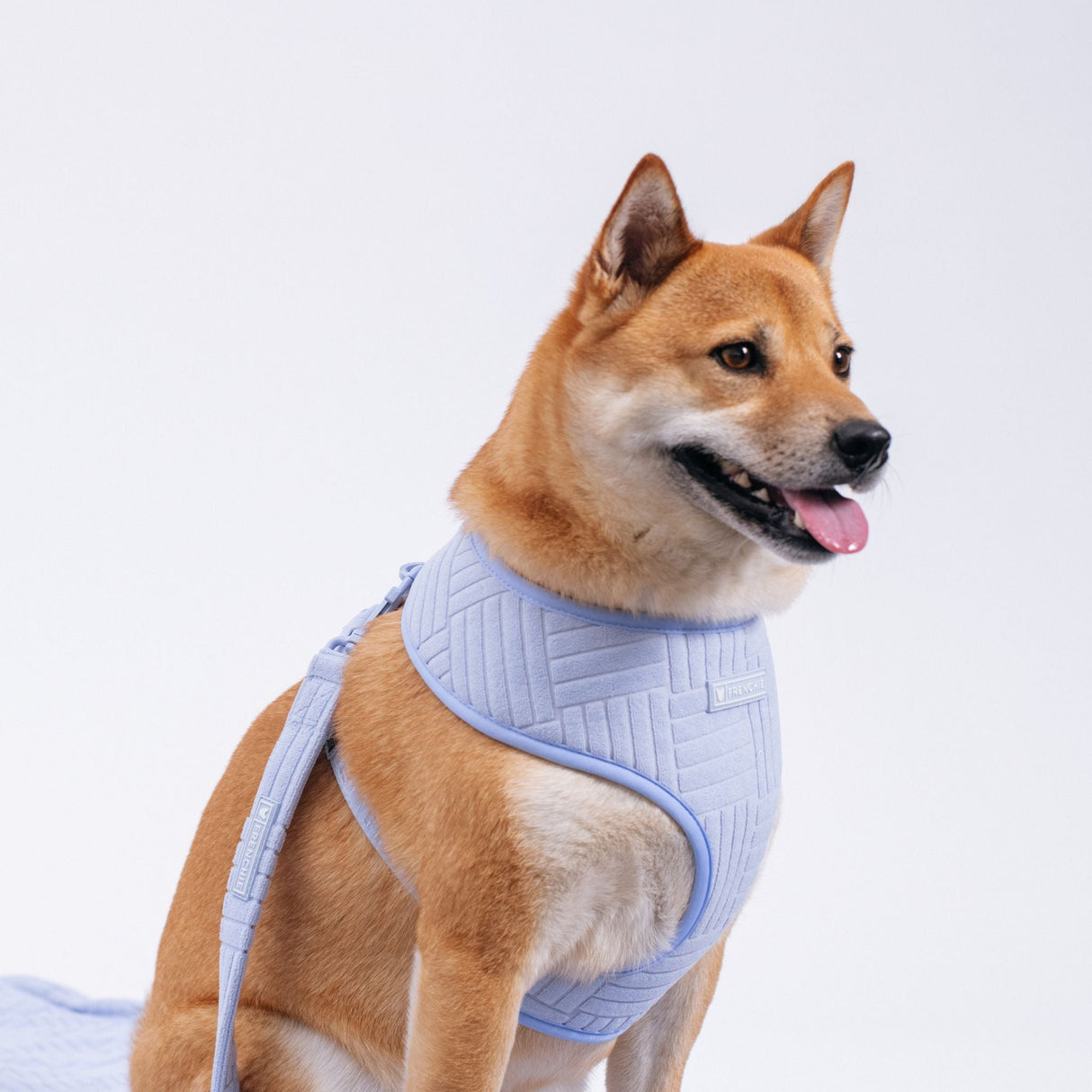Frenchie Duo Reversible Harness - Terry- Blue from Frenchie Bulldog