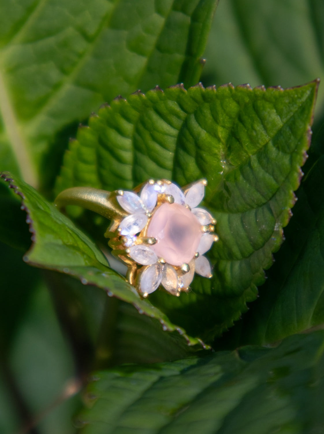 The Full Bloom Ring from Ash & Rose