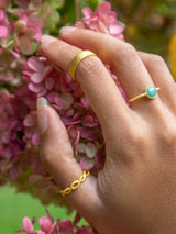 Mini Pebble Ring - Gold from Ash & Rose