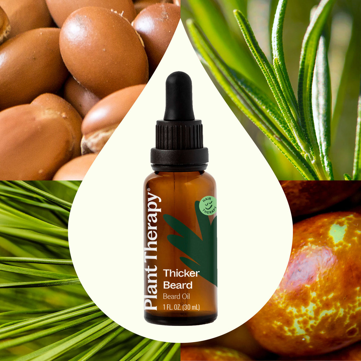 Hair Therapy Thicker Beard - Beard Oil from Plant Therapy