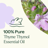 Thyme Thymol Essential Oil from Plant Therapy