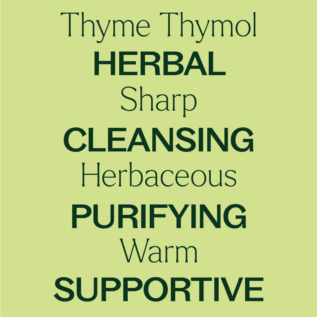 Thyme Thymol Essential Oil from Plant Therapy