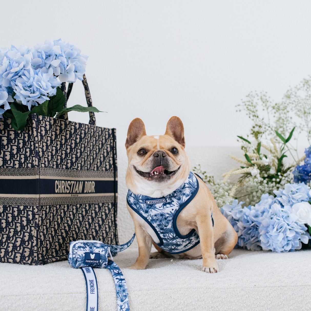 Frenchie Duo Reversible Harness - Toile- Blue from Frenchie Bulldog